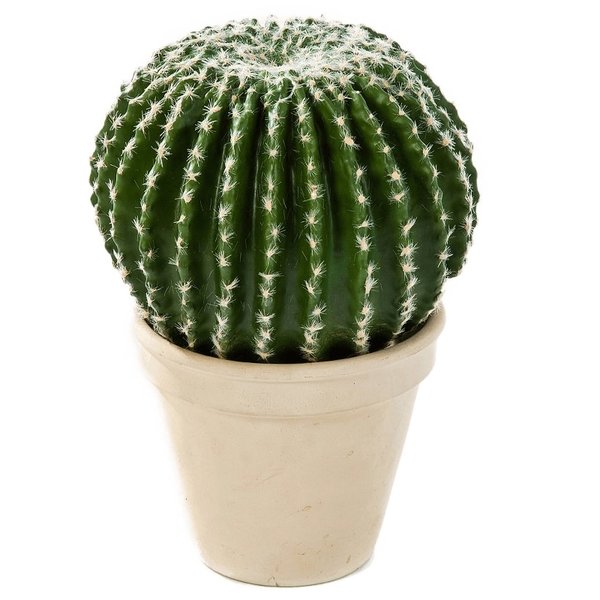 Barrel Cactus - kunstplant