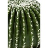 Barrel Cactus - kunstplant