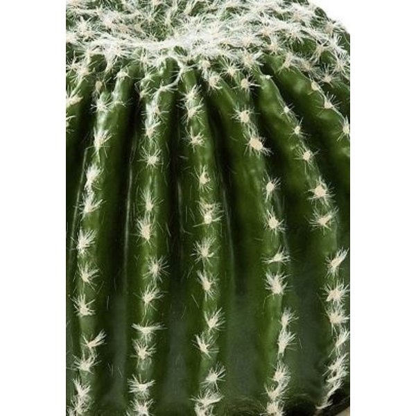 Barrel Cactus - kunstplant