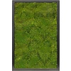 Platmos MDF Schilderij Rechthoek