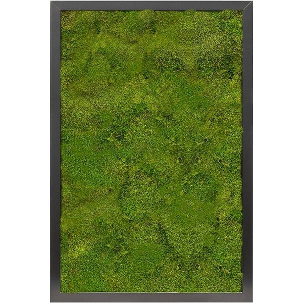 Platmos MDF Schilderij Rechthoek
