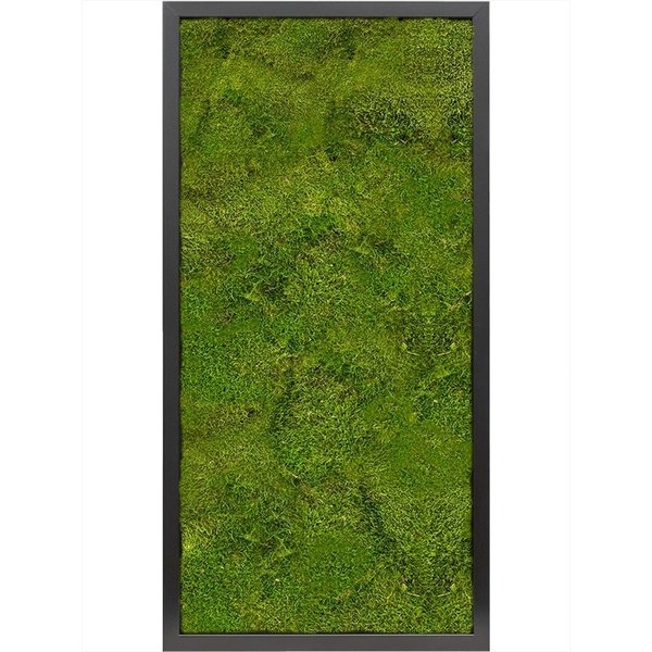 Platmos MDF Schilderij Rechthoek