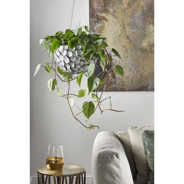 Oceana Pearl Hanging Bowl L