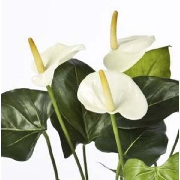 Anthurium de Luxe White Small - kunstplant