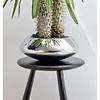 Platinum Bowl Ø 31 cm