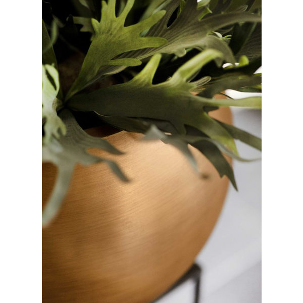 Capi Capi Nature Retro Vase Bowl Gold Ø 40