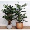 Areca Palm - kunstplant