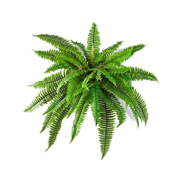 Boston Fern - kunstplant