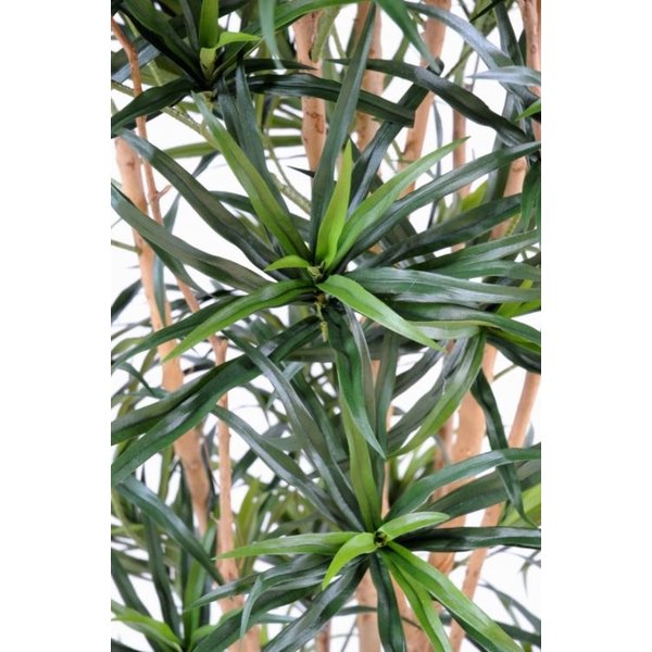 Dracaena Anita Tree - kunstplant