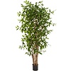 Dracaena Surculosa Tree Large- kunstplant