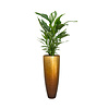 Spathiphyllum Lepelplant in Baq Metallic Partner Ø 34 cm