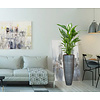 Spathiphyllum Lepelplant in Baq Metallic Partner Ø 34 cm