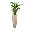 Spathiphyllum Lepelplant in Baq Metallic Partner Ø 34 cm