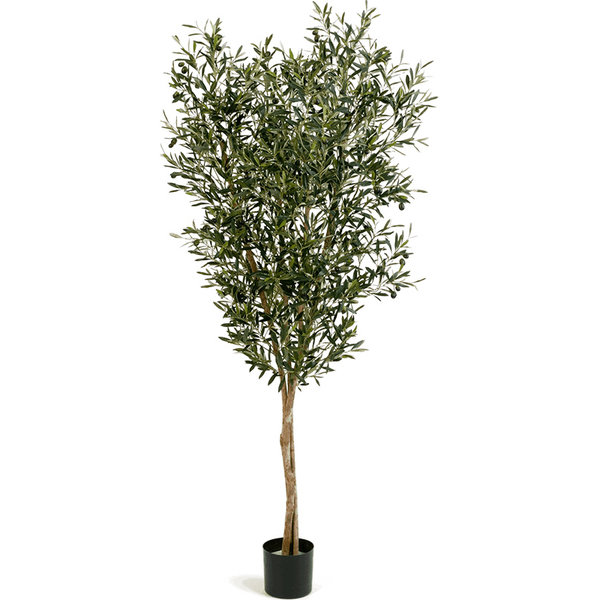 Natural Olive Large - kunstplant