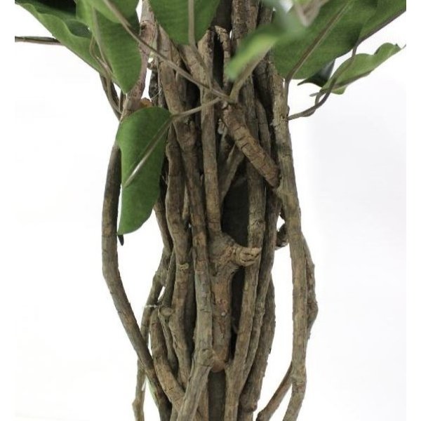  Ficus Liana - kunstplant