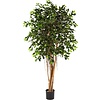 Ficus Retusa - kunstplant