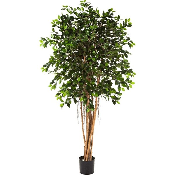 Ficus Retusa - kunstplant