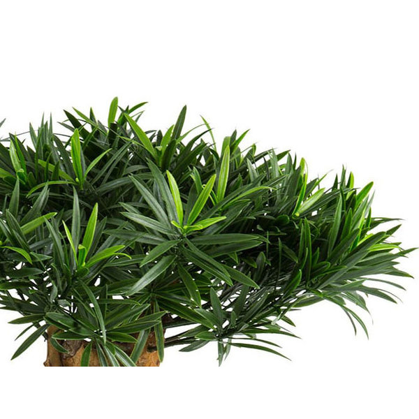 Podocarpus Mountain - kunstplant