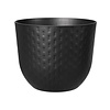 Fuente Grains S