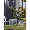Urban Planter Square Smooth Medium B30 x H30 cm