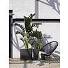 Urban Planter Square Smooth Medium B30 x H30 cm