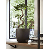 Urban Egg Planter Smooth XL Ø 54