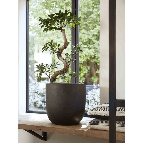 Capi Urban Egg Planter Smooth XL Ø 54