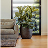 Nature Row Egg Planter XL Ø 54