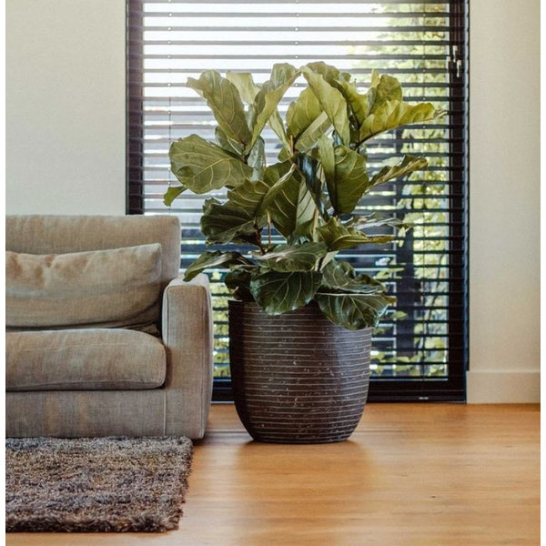 Capi Nature Row Egg Planter XL Ø 54