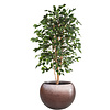 Ficus Exotica kunstplant in pot Metallic Globe