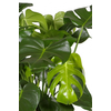 Monstera Struik Large in Bohemian Bamboo Round