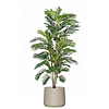 Palm Areca (kunstplant) in Rugged Patt XXL
