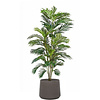 Palm Areca (kunstplant) in Rugged Patt XXL