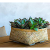 Bohemian Bamboo Roll 37 cm
