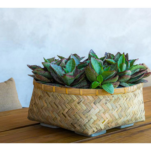 Pottery Pots Bohemian Bamboo Roll 37 cm
