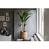 Bohemian Bamboo Round Ø 37 cm