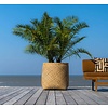 Bohemian Bamboo Round Ø 90 cm