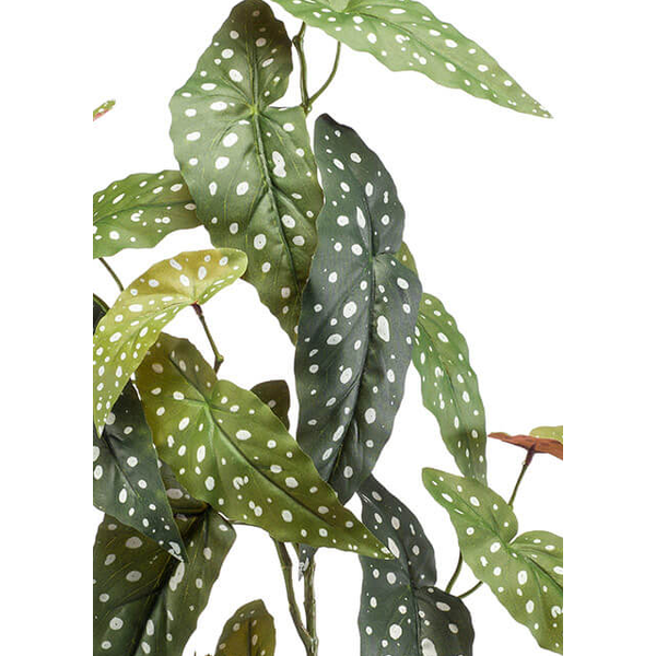 Begonia Maculata - kunstplant