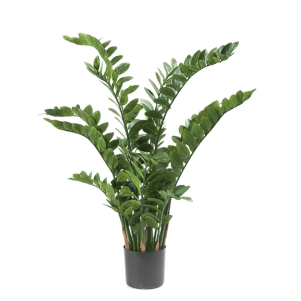 Zamioculcas - kunstplant