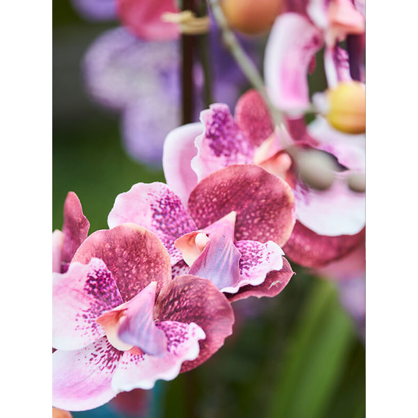 Vanda Pink - kunstplant