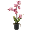 Vanda Pink - kunstplant