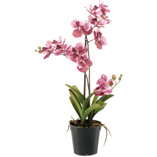 Vanda Pink - kunstplant