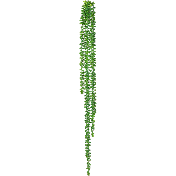 String of pearls - kunstplant