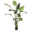 Strelitzia XL - kunstplant