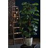 Monstera Deliciosa Bush - kunstplant