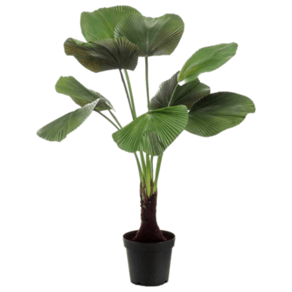 Licuala palm - kunstplant