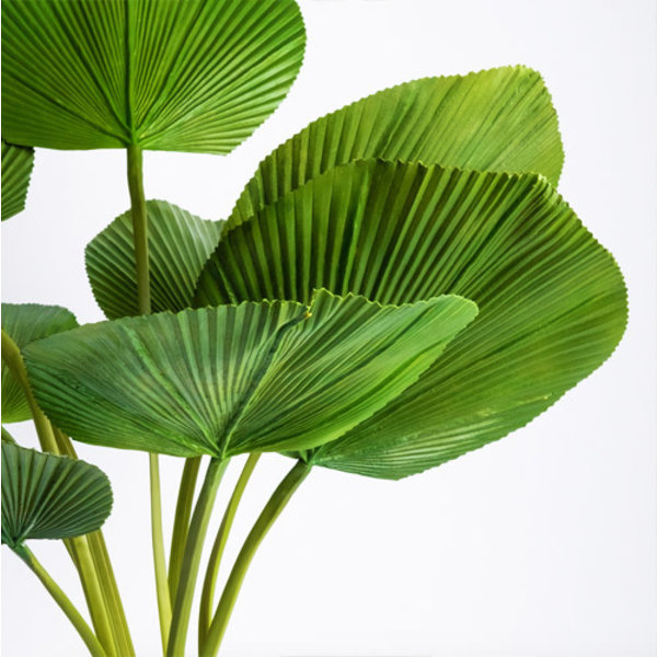 Licuala palm - kunstplant