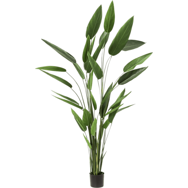 Heliconia XL - kunstplant
