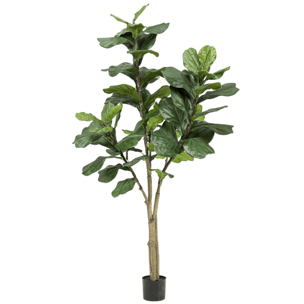  Ficus Lyrata vertakt - kunstplant