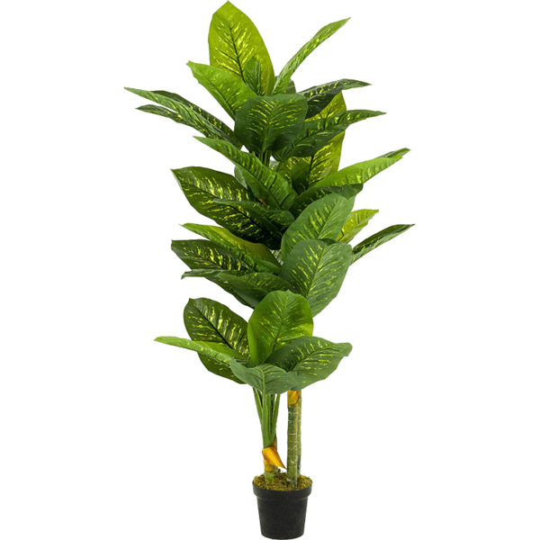 Dieffenbachia - kunstplant